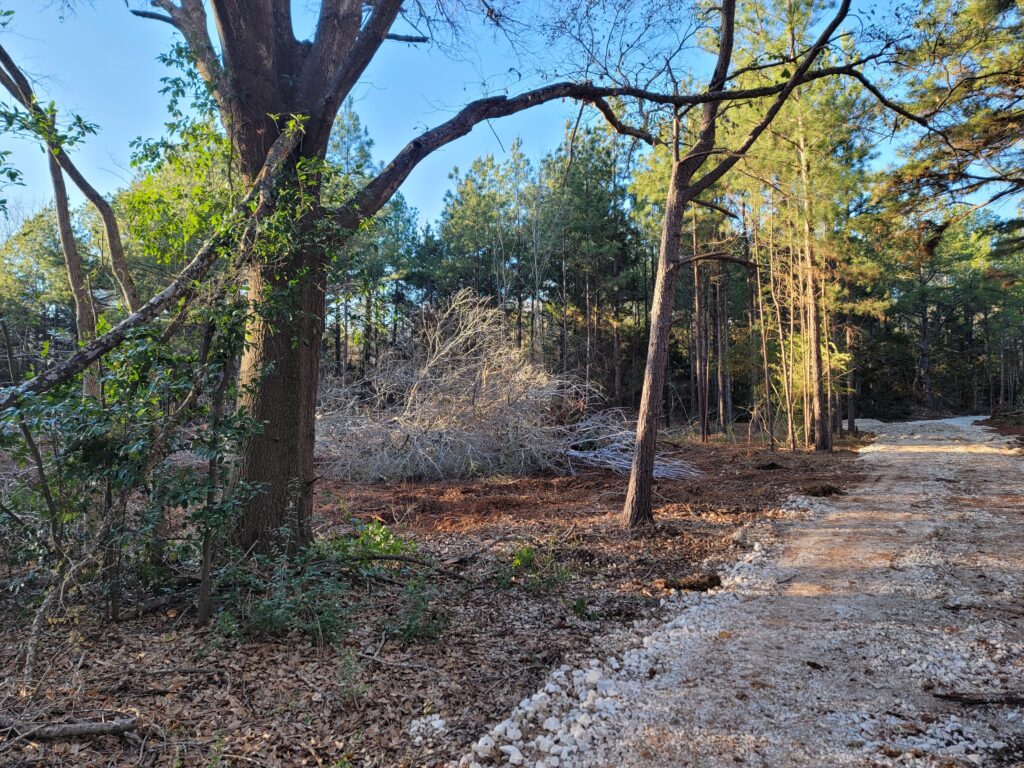 Bulldozer clearing land for construction in Palestine TX