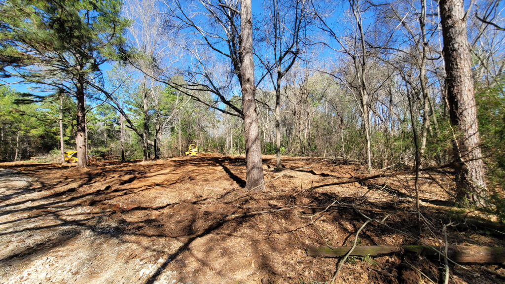 Clearing thick underbrush in East Texas woodland